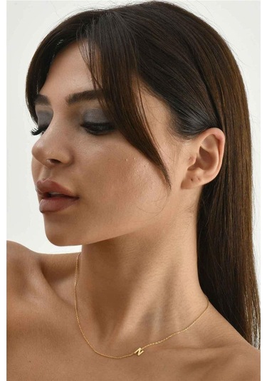 Minamis Silver 925 Ayar Gümüş N Harfi Köprücük Kolye-2305