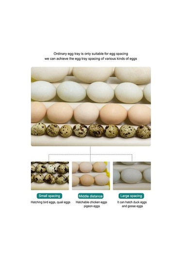 Pazly Yumurta Tüpleri Tepsi Suntek Ördek Kaz İnkübatör Uyumlu 7 Li