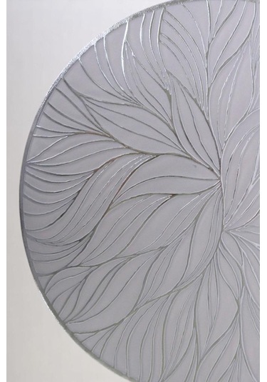 Digithome 6 Lı Amerikan Servisi Supla Yuvarlak Gümüş 38 Cm Thn76973 C1-1-18 Gümüş