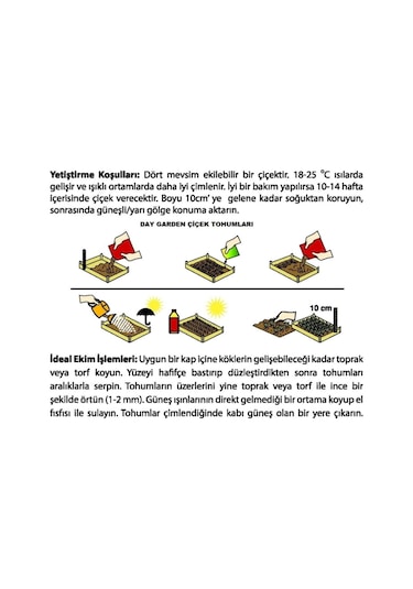10 Adet Turuncu Beyaz Dahlia + 10 Adet Hediye Karışık Renk Gül Tohumu