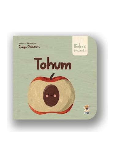 Bebek Üniversitesi Tohum - Sincap Kitap