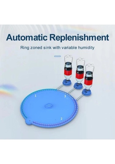 80 Yumurta Kapasiteli Otomatik Çiftlik Kuluçka Makinesi : Yumurta, Bıldırcın, Civciv Ve Kanatlılar İ