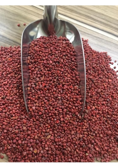Fındık Turp Tohumu 1 KG