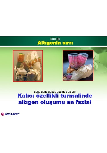MİRACLE I TORMANYUM TAŞLI KEMER
