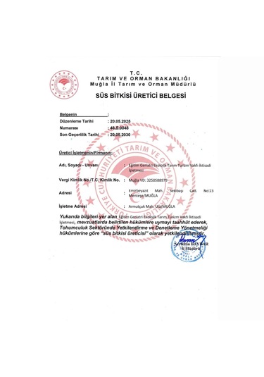 Tıbbi Adaçayı Salvia Officinalis