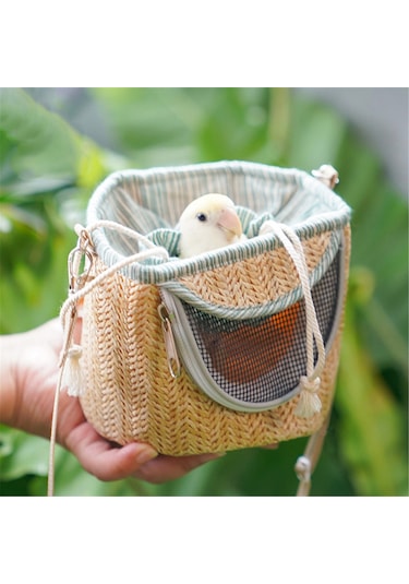 Honmex Küçük Evcil Hayvanlar İçin Hava Geçirgen, Sıcakklıklı Taşınabilir Çanta - Papağan, Hamster, Guinea Pig İçin Dışarı Çıkış Çantası Yeşil Gümüş