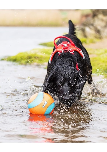 Chuckit Suda Batmayan Mega Köpek Oyun Topu 12 CM
