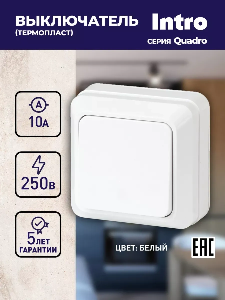 Intro Quadro 250v Tekli Düğmeli Anahtar 261824251