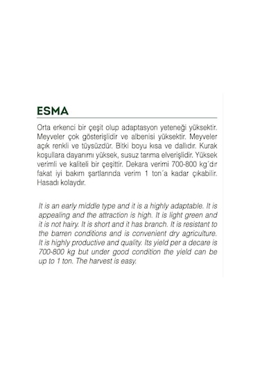Ata Tohumu Yerli Doğal Küçük Bamya 100 Adet Tohum