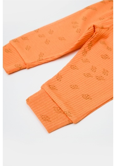 BabyCosy Organik Modal Fil Baskılı 3 Lü Set Csym25505 001