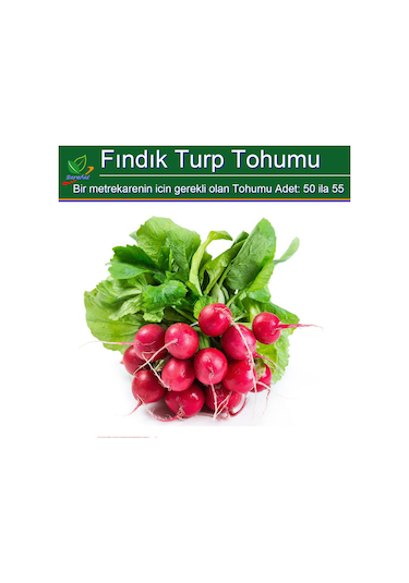 Fındık Turp Tohumu 1000 Adet