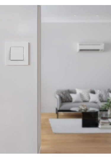 Era Tek Tuşlu Anahtar 365980233