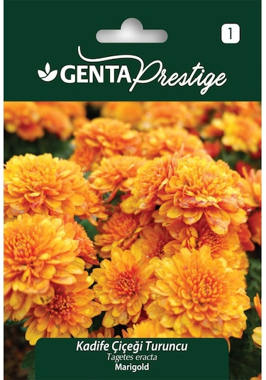 Genta - Turuncu Kadife Çiçeği Tohumu