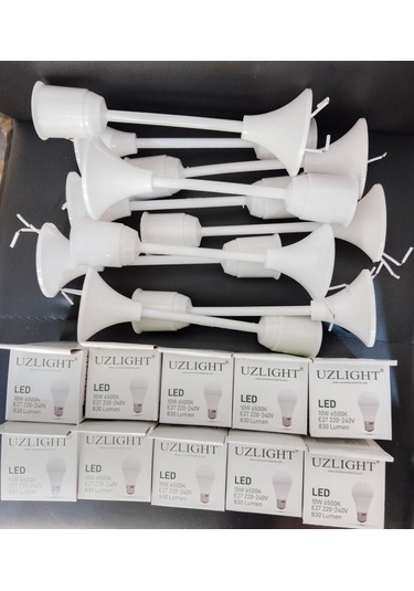 Muhafazalı Porselen Asma Duy Takımı 10w Led Ampül 10'lu Set Paket