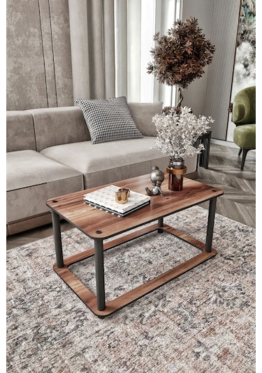 Hole Dikdörtgen Orta Sehpa Ceviz Ceviz