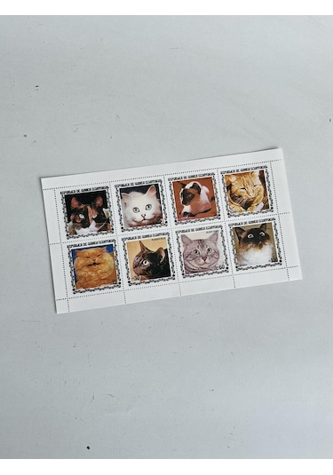 Kedi Temalı Ekvator Ginesi Damgasız 8'li Blok Pul