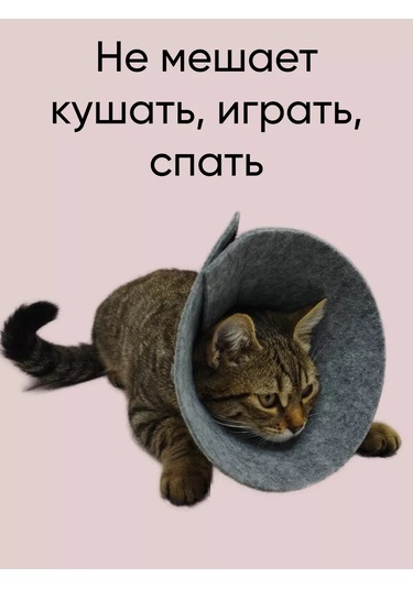 Gurenkot Kediler Ve Köpekler İçin Veterinor Yatağı 148252935