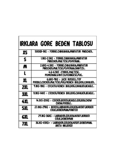 Pawstar Yeşil Lucky Club Polarlı Küçük Irk Köpek Sweatshirtü