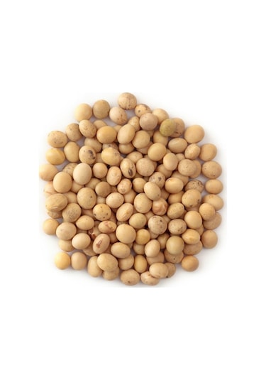 Sanita Soya Fasulyesi 1 KG
