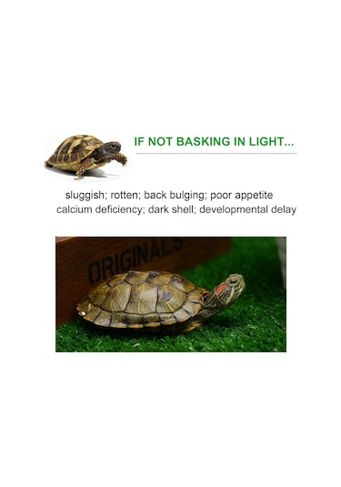 Yaleker Kabuklular İçin Isıtıcı Lambası, E27 Uç, 50w Ampul, Esnek Hortum Gövde, Amerikan Standartı, Siyah Siyah