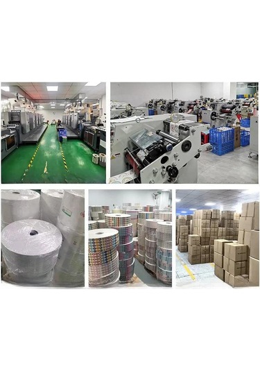 Moveevo Dairesel Boş Etiketler, Elle Sınıflandırma Ve Kapama İçin 500 Adet Sticker Roll 500 Adet