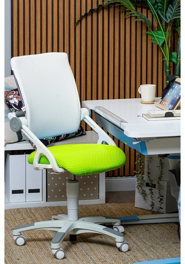 Creo Mobili Yükseklik Ve Sırt Ayarlı Sirius Çalışma Sandalyesi Ofis, Bilgisayar Koltuğu Beyaz/yeşil Gri