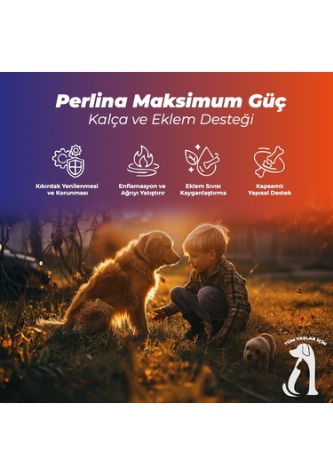 Perlina Kalça Ve Eklem Destek Tablet