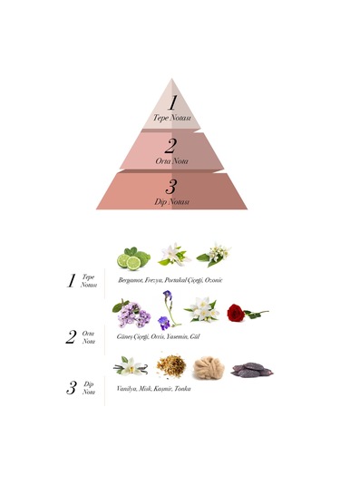 Prova Elia EDP Odunsu Kadın Parfüm 120 ML