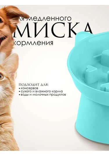 Vektorı Kedi Kabı 391740898