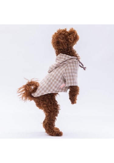 Pawstar Bej Ekose Oduncu Kedi Köpek Gömleği