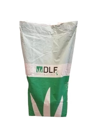 Fare Kulağı TohumuDichondra Repens1 KG