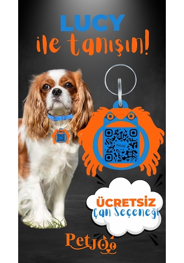 Petjoo 11.Lucy Turuncu-Mavi Qr'lı Köpek Künyesi