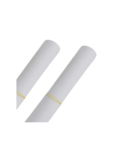 Homyl Anti-kedi Scratch Kanepe Mobilya Koruyucu 2-adet-15x30cm