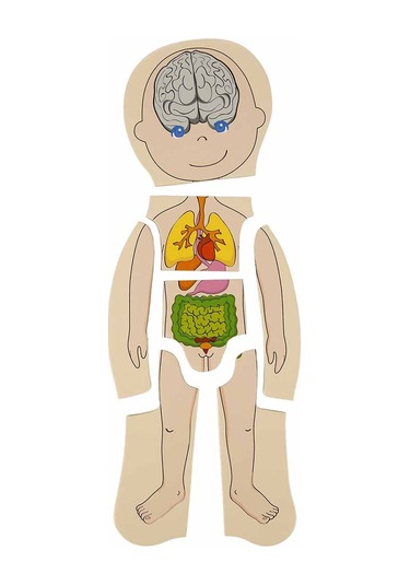 Woody Katmanlı İnsan Vücudu Giydirme Oyunu Ahşap Puzzle Yapboz