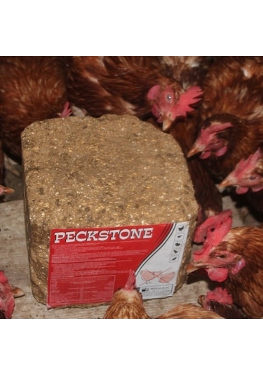Peckstone 4 Kg Kanatlılar IçinVegagalama Taşı