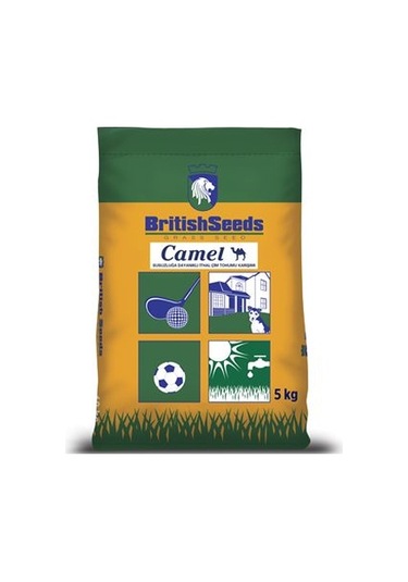 Camel Çim Tohumu Kurak Bölgeler İçin Çim Tohumu Karışımı 5 KG