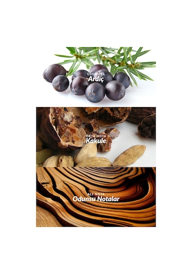 Avon Elite Gentleman Erkek Parfüm EDT 75 ML