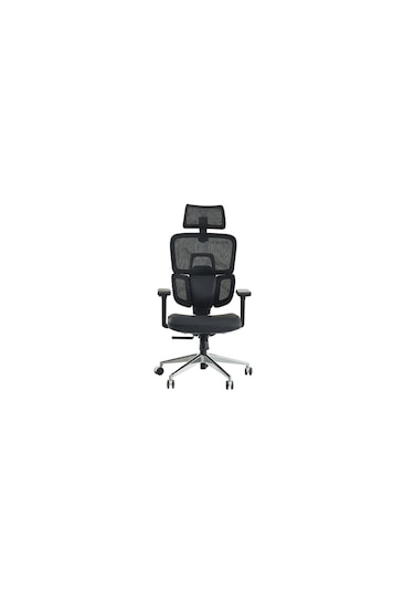 Venice Profesyonel Premium Yönetici Koltuğu Ergonomik