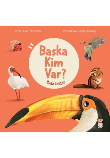 Başka Kim Var? Bana Benzer - Ceren Çukadar - Sincap Kitap