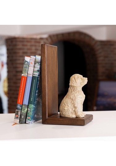 Can Dostum Köpeğim Kitap Desteği