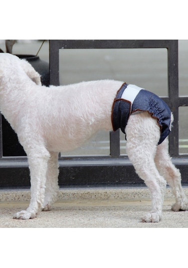 Anti-üzüntü Dişi Köpek Fizyolojik Pantolon İdrar Geçirmez Ve Islak Pet Sızdırmaz İç Çamaşırı, Boyut: L