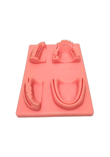 Suofeng Diş Hekimliği Dikiş Eğitim Seti - 4 Adet Yapay Diş Eti Modeli İle Pratik Yapma İmkanı