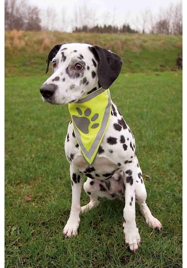 Trixie Köpek Bandanası S-M 29-42 CM Çok Renkli