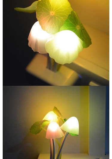 Petrix Çiçekli Dekoratif Rgb Sensörlü Gece Lambası Çok Renkli