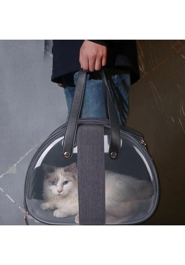 Homyl Kedi Taşıyıcı Köpekler Yavru Yavruları Gine Domuzu