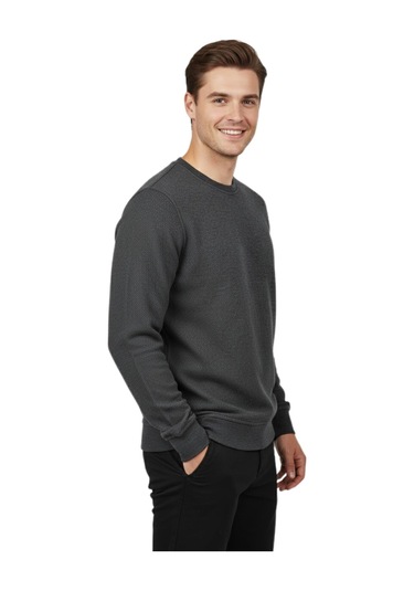 Raymons Erkek Sıfır Yaka Petek Doku Regular Fit Sweatshirt Bgl-st04950 Antrasit