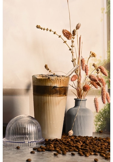 1 Adet Mika (Cam Değildir) Oval Kapaklı Pipetli Origami Stil Bardak Soğuk Kahve Meşrubat Bardağı