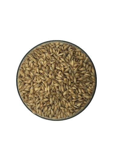 Hitit Malt Pale Arpa Maltı 1 KG