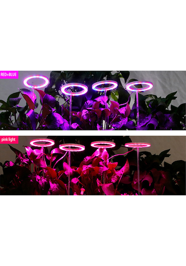 Singree Ev Bitkileri İçin Pembe Işıklı Led Büyüme Lambası - 2 Halkalı, Zamanlayıcılı, İç Mekan Kullanımı Pembe