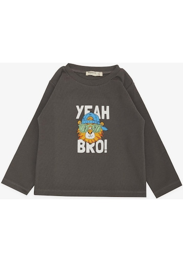 Breeze Girls & Boys Erkek Çocuk Uzun Kollu Tişört Şapkalı Havalı Aslancık Baskılı 1-4 Yaş, Füme-füme Füme